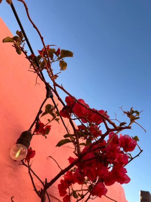The Dolls House * Cape Town